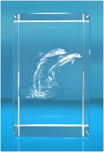 3D Glasquader   Motiv: zwei Delfine / Delphine