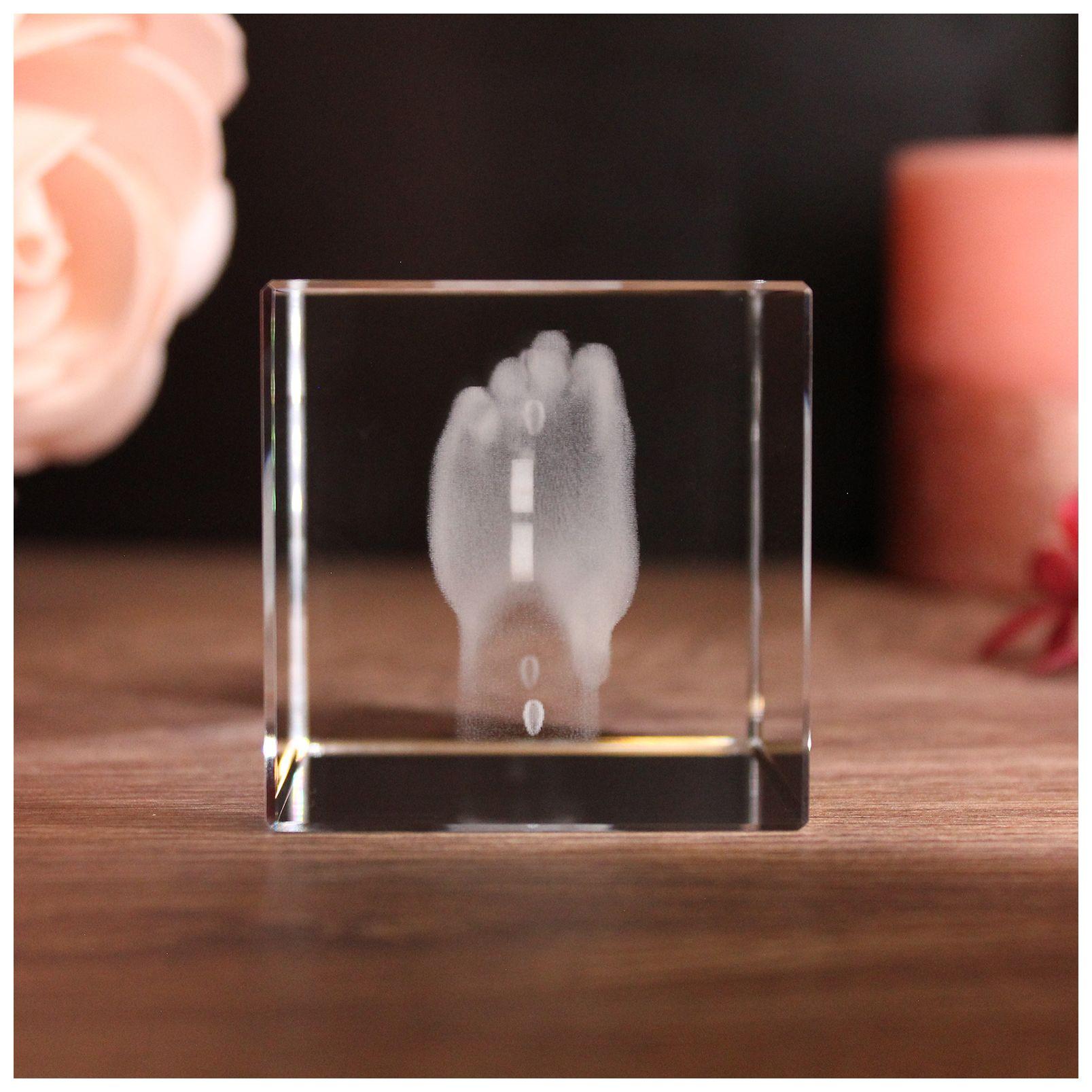 LoveGoals 3D Glaskristall | Motiv Hände | Beste Tante