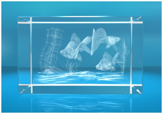 3D Glasquader   Motiv: Aquarium