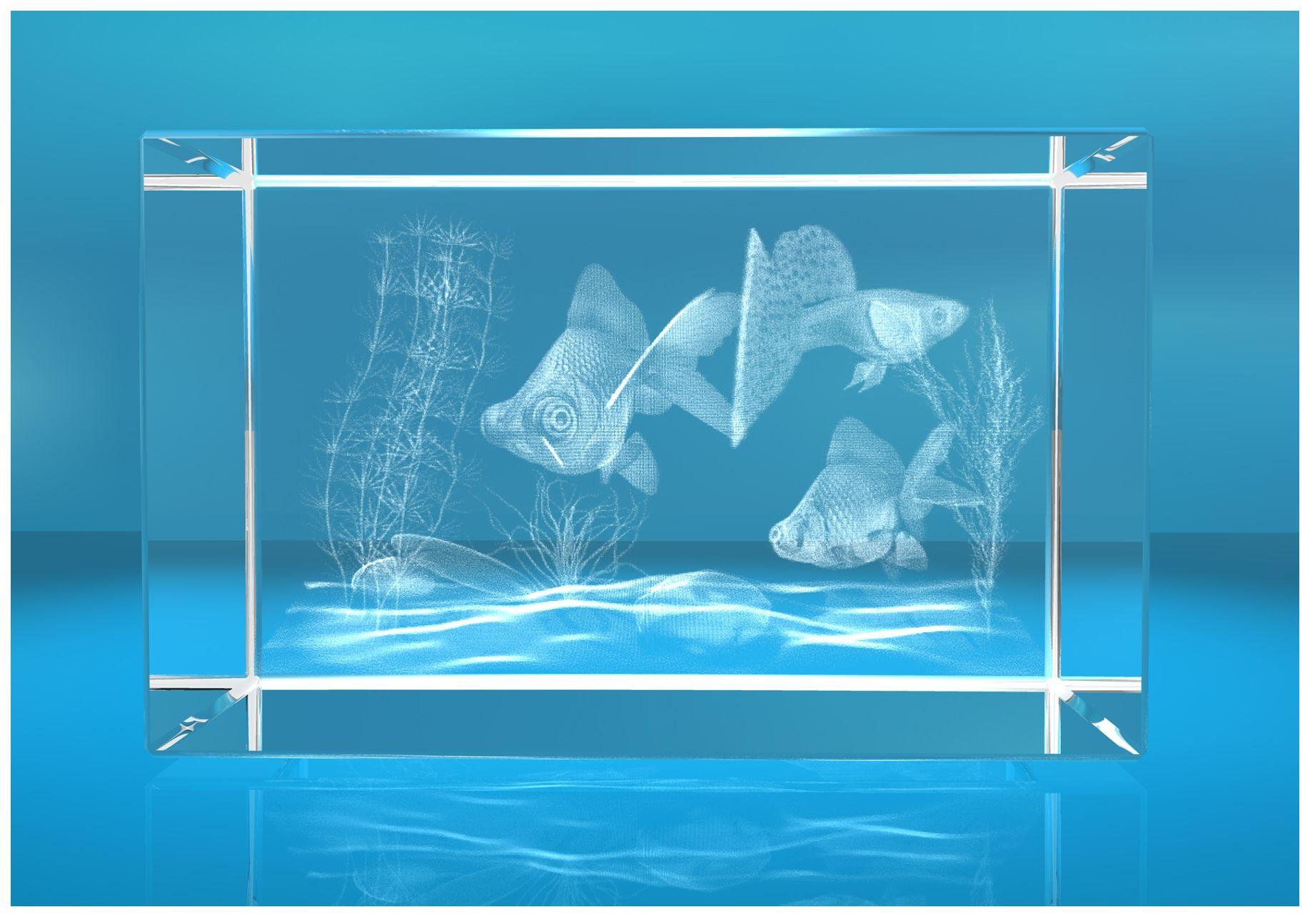 3D Glasquader Motiv: Aquarium 3D Glasquader Motiv: Aquarium