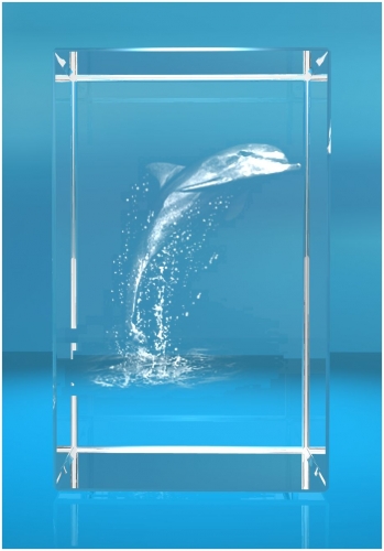 3D Glasquader   Motiv: Delfin / Delphin