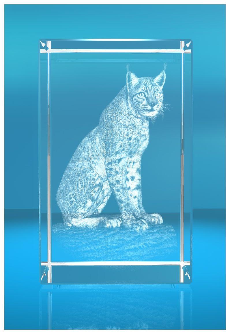 3D Glasquader Motiv: Luchs 3D Glasquader Motiv: Luchs
