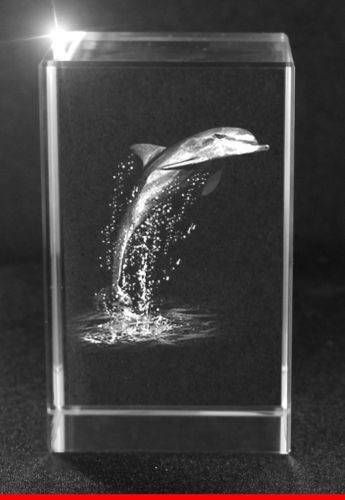 3D Glasquader   Motiv: Delfin / Delphin