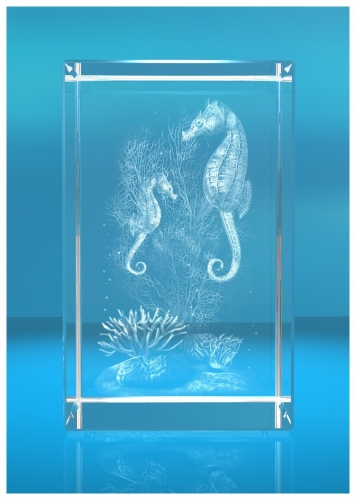 3D Glasquader   Motiv: Seepferdchen