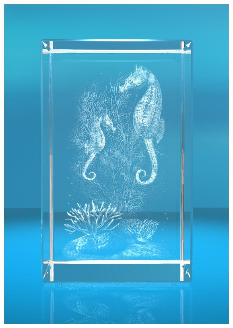 3D Glasquader Motiv: Seepferdchen 3D Glasquader Motiv: Seepferdchen
