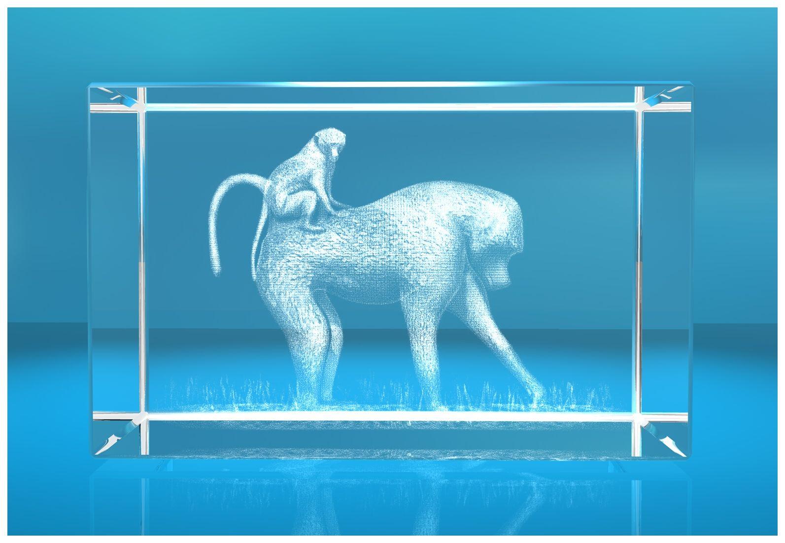 3D Glasquader Motiv: Affen 3D Glasquader Motiv: Affen