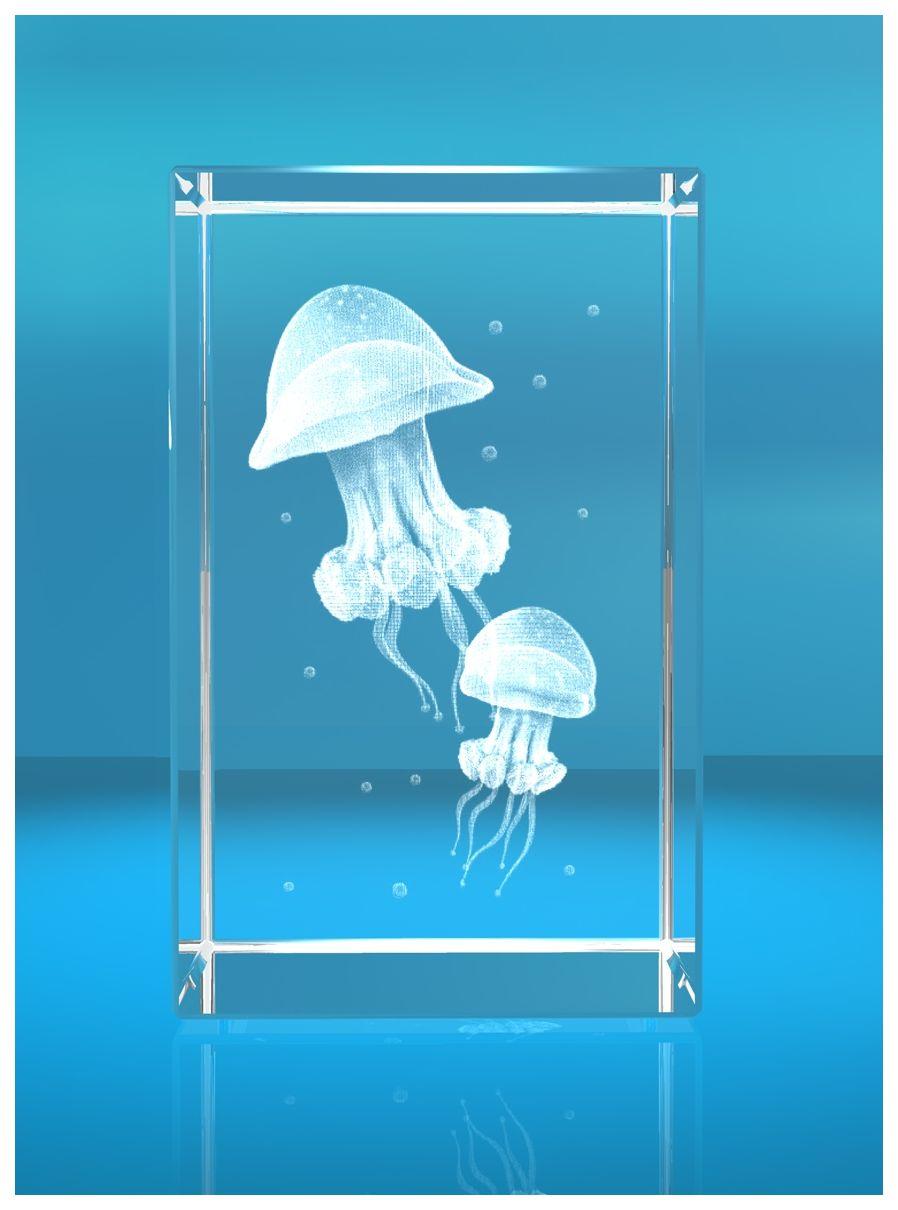 3D Glasquader Motiv: Quallen 3D Glasquader Motiv: Quallen