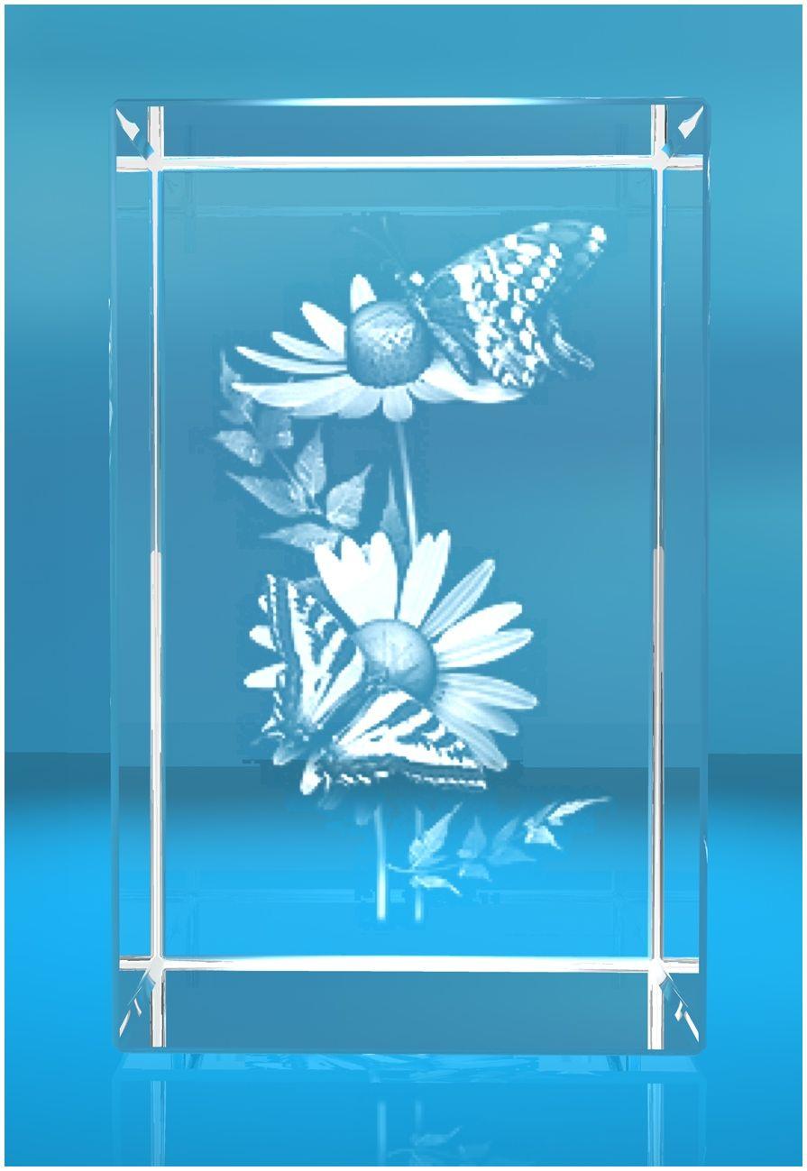 3D Glasquader Motiv: Margariten mit Schmetterlingen 3D Glasquader Motiv: Margariten mit Schmetterlingen