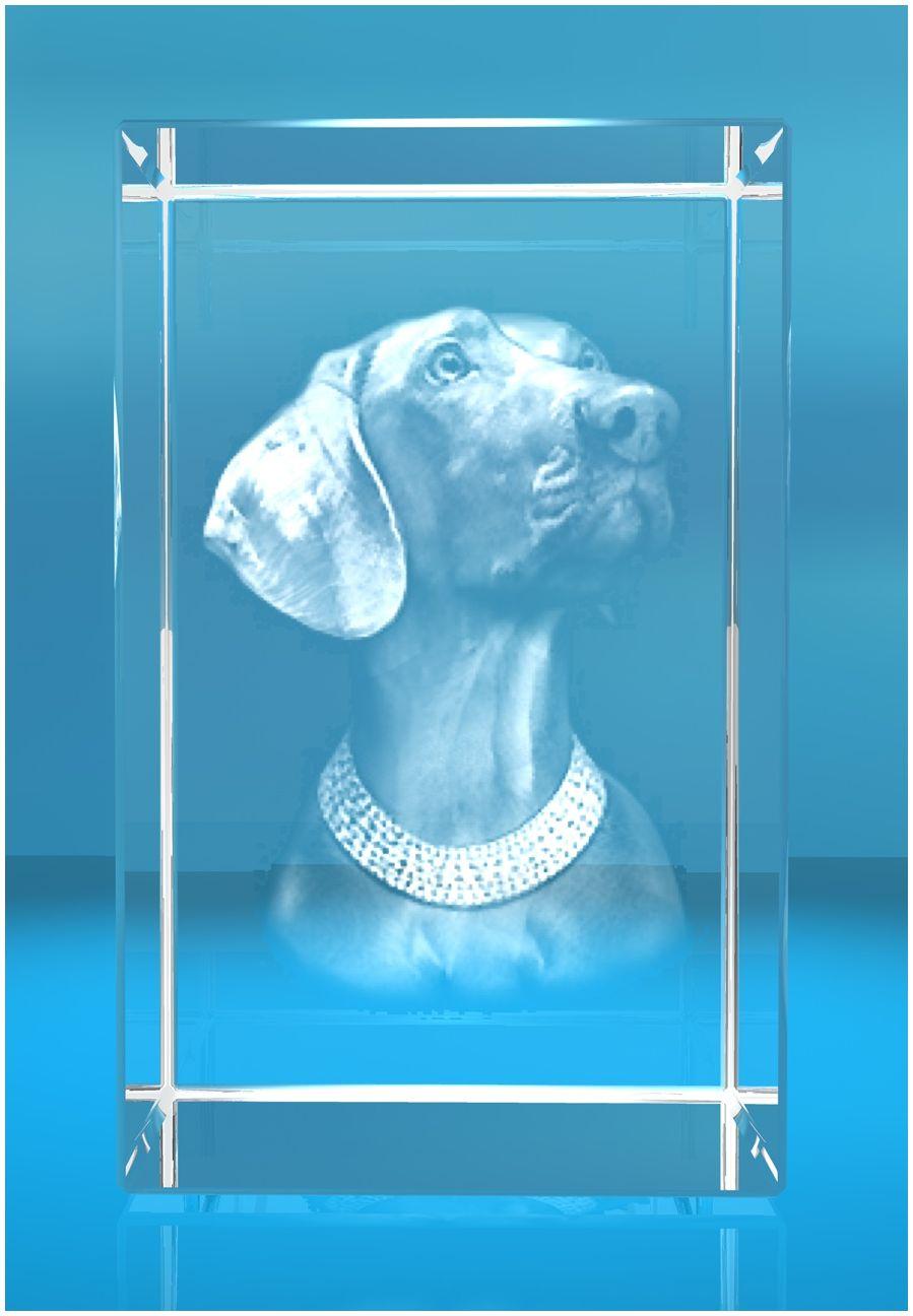 3D Glasquader Motiv: Hund Weimaraner 3D Glasquader Motiv: Hund Weimaraner