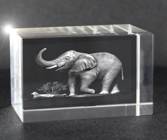 3D Glasquader   Motiv: Elefant