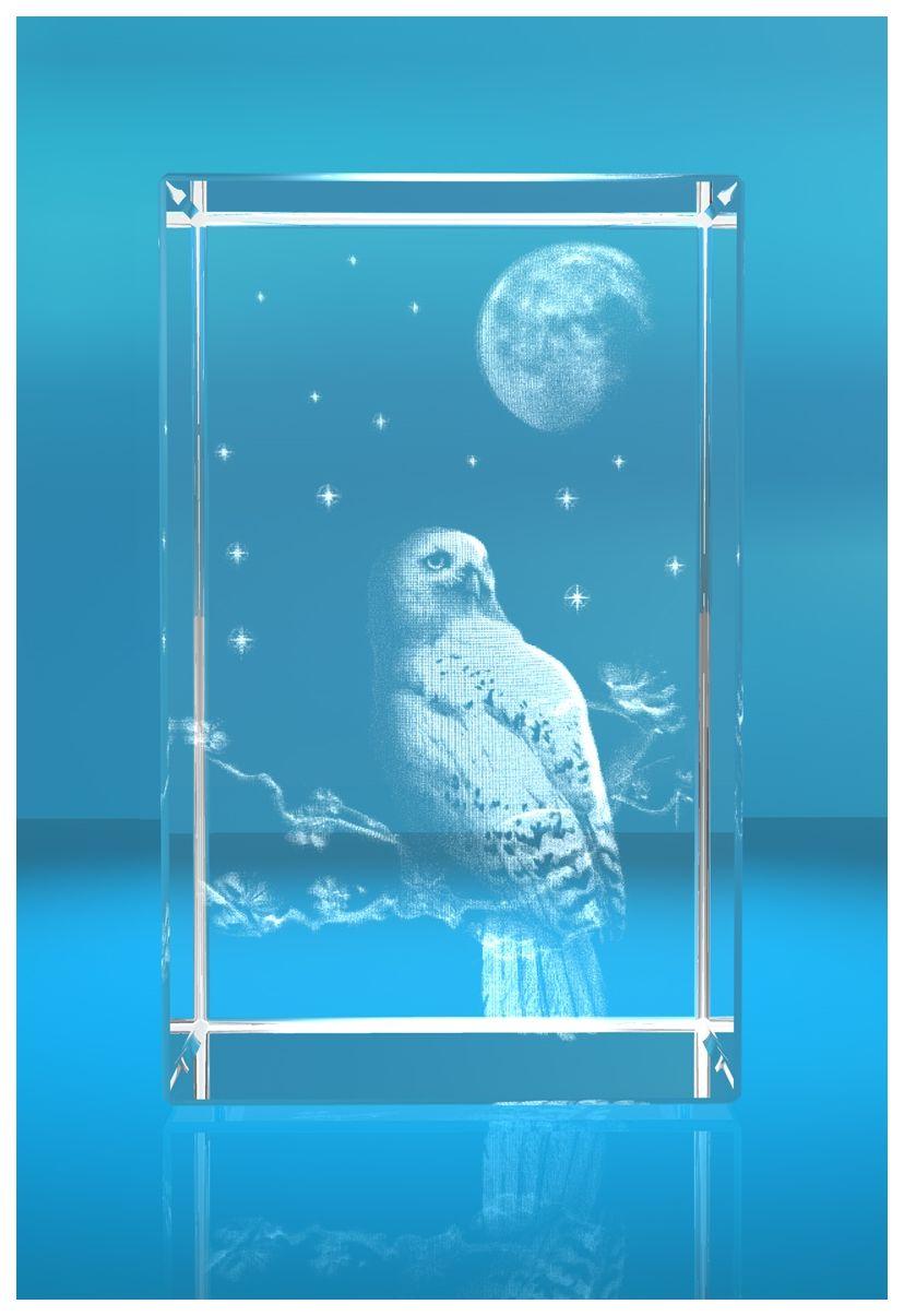3D Glasquader Motiv: Eule 3D Glasquader Motiv: Eule