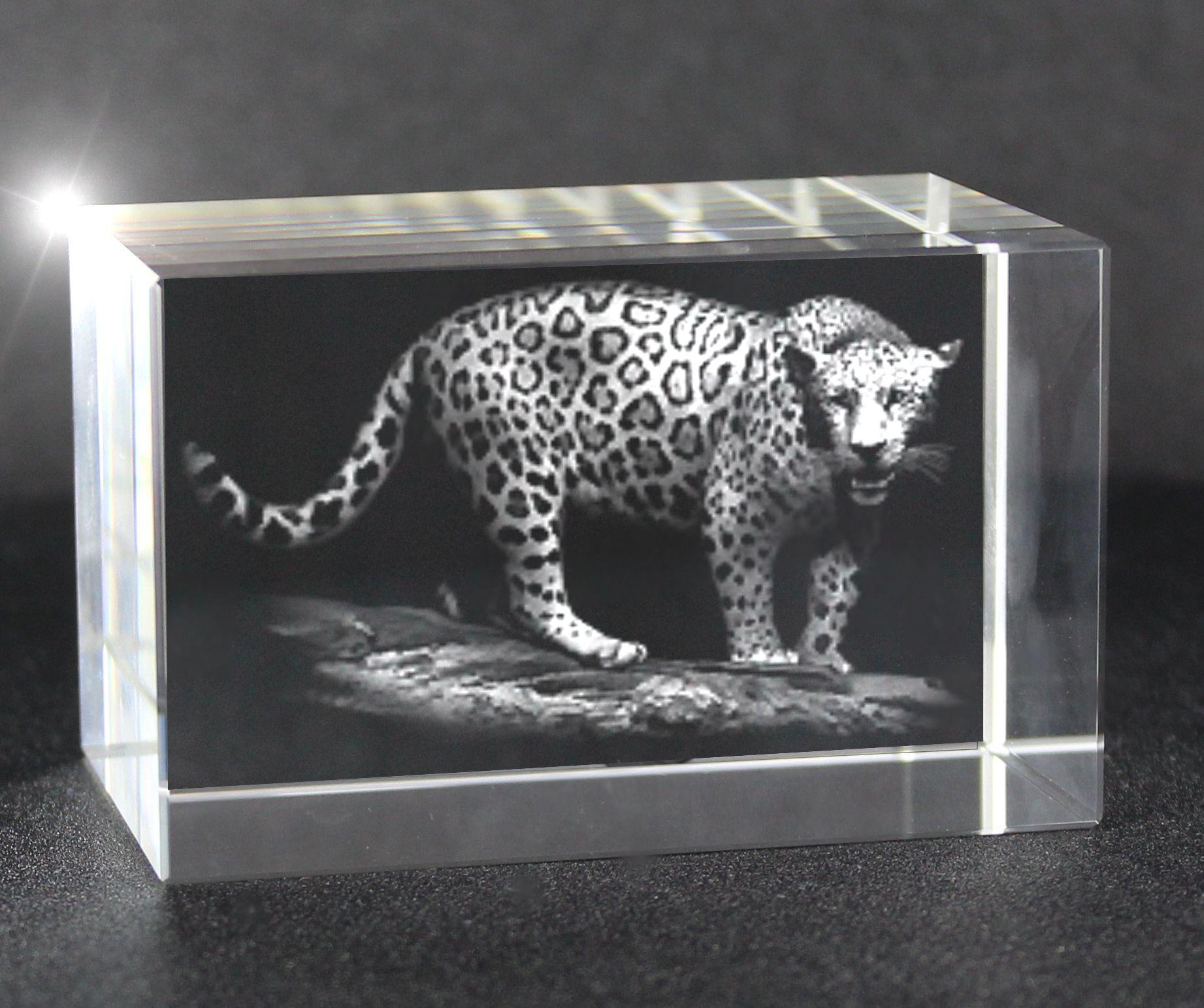 3D Glasquader Motiv: Jaguar 3D Glasquader Motiv: Jaguar